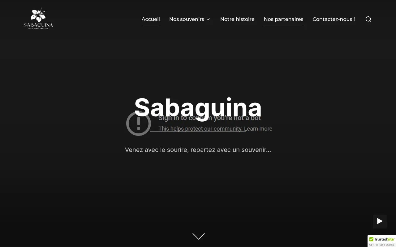 Site web Sabaguina (refonte en cours)