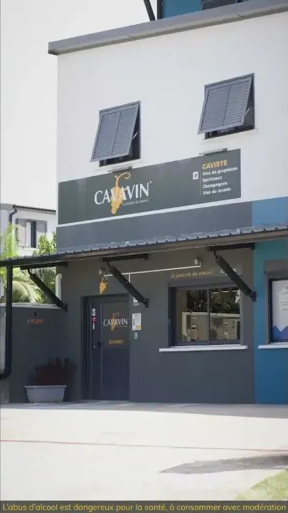 Vidéo publicitaire CAVAVIN